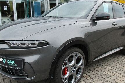 Alfa Romeo Tonale 28.670 km 28.950 &euro; Lingen - Baccum 49811