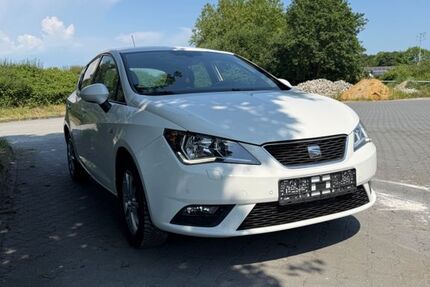 Seat Ibiza 179.523 km 4.900 &euro; Spelle 48480