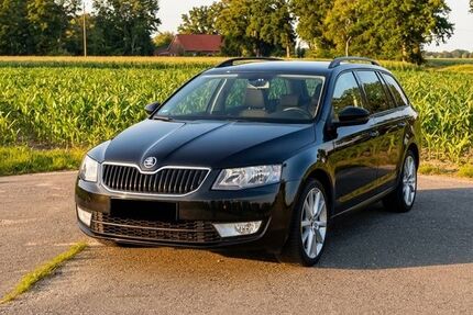 Skoda Octavia 176.168 km 9.100 &euro; Neuenhaus 49828