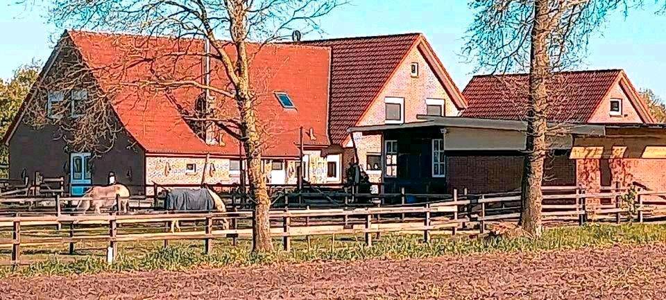 Mehrfamilienhaus, Wohnhaus Emlichheim - 11 Zimmer, 300 m&sup2;, 795.000&euro; | Angebot:26621622