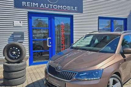 Skoda Fabia 128.955 km 9.950 &euro; Lingen (Ems) 49811