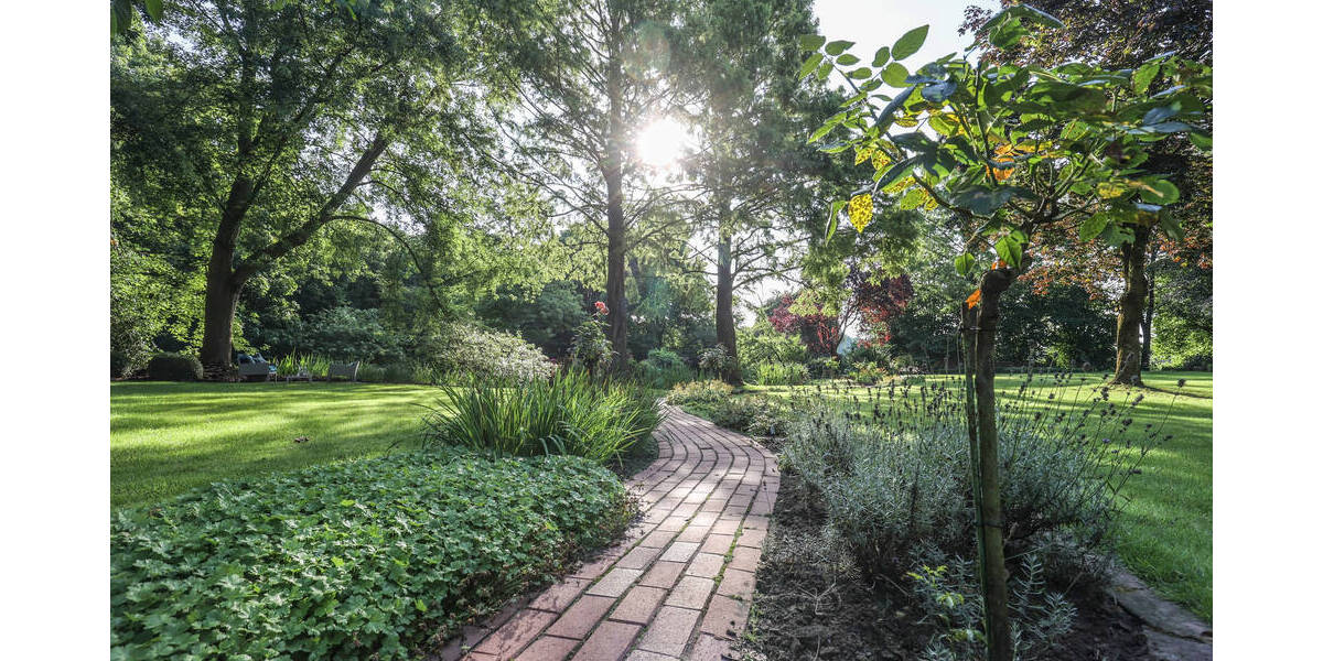 Mehrfamilienhaus, Wohnhaus Emsbüren Listrup - 7 Zimmer, 375 m&sup2;, 1.790.000&euro; | Angebot:25695059