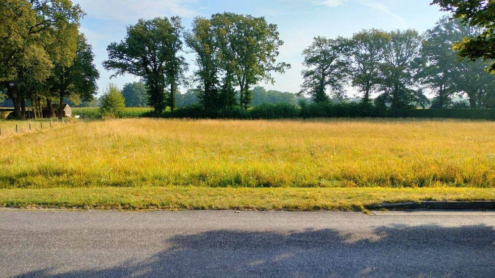 Grundstück Wielen - 79.000&euro; | Angebot:26066008