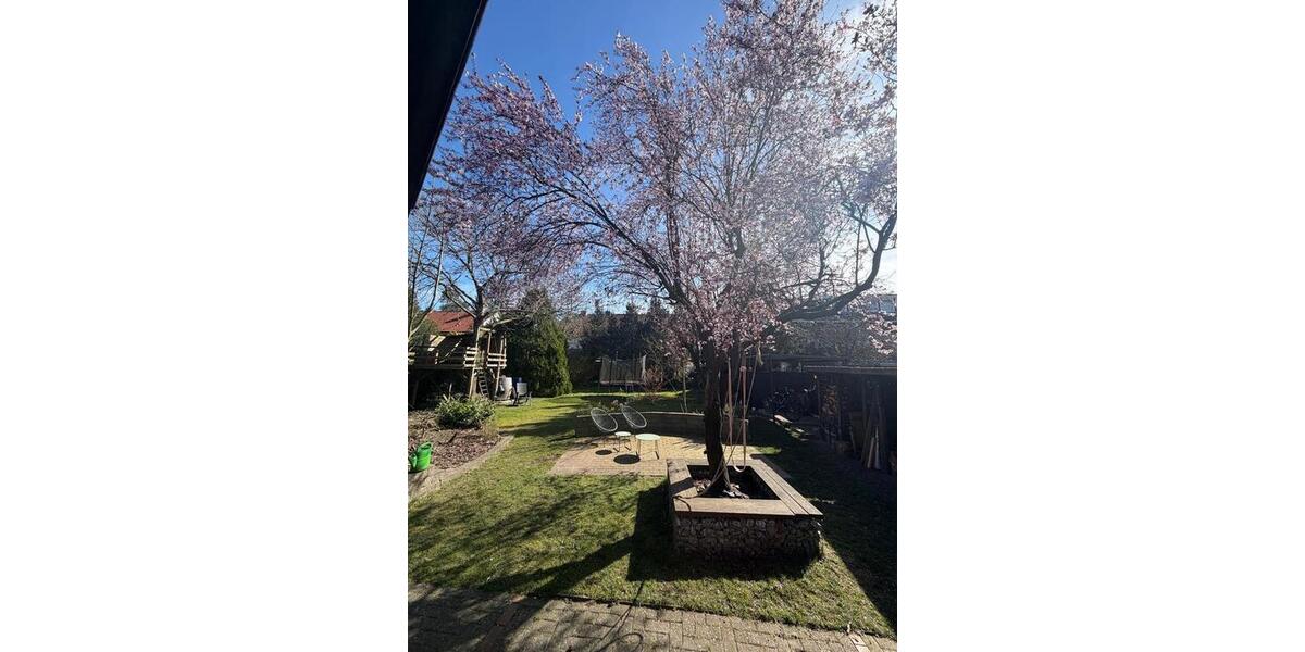 Doppelhaushälfte Lingen (Ems) - 4 Zimmer, 118 m&sup2;, 445.000&euro; | Angebot:25640655