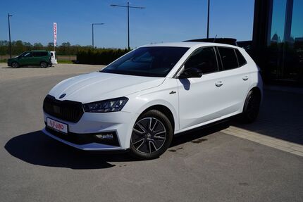 Skoda Fabia 25.437 km 19.950 &euro; Wietmarschen 49835