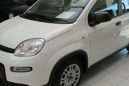 Fiat Panda 5.000 km 13.950 &euro; Lingen - Baccum 49811