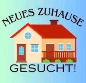 Einfamilienhaus Gronau (Westfahlen) - 48.599&euro; | Angebot:24978026