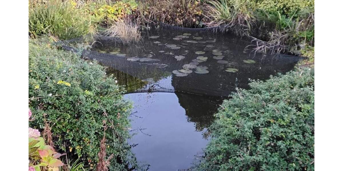 Einfamilienhaus Gronau Epe - 4 Zimmer, 125 m&sup2;, 359.000&euro; | Angebot:25695019