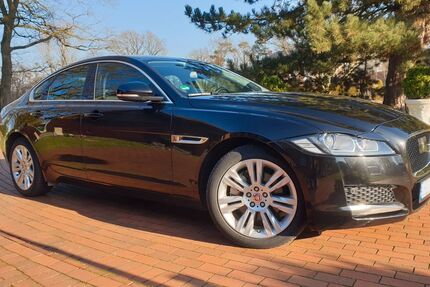 Jaguar XF 125.000 km 14.450 &euro; Gronau - Epe 48599