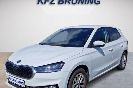 Skoda Fabia 12.860 km 15.980 &euro; Lingen (Ems) 49811