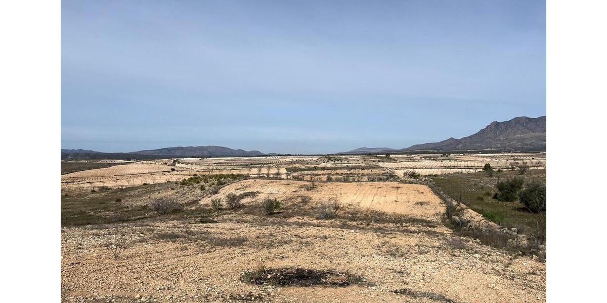 Einfamilienhaus Gronau (Westfahlen) - 349.000&euro; | Angebot:23455750