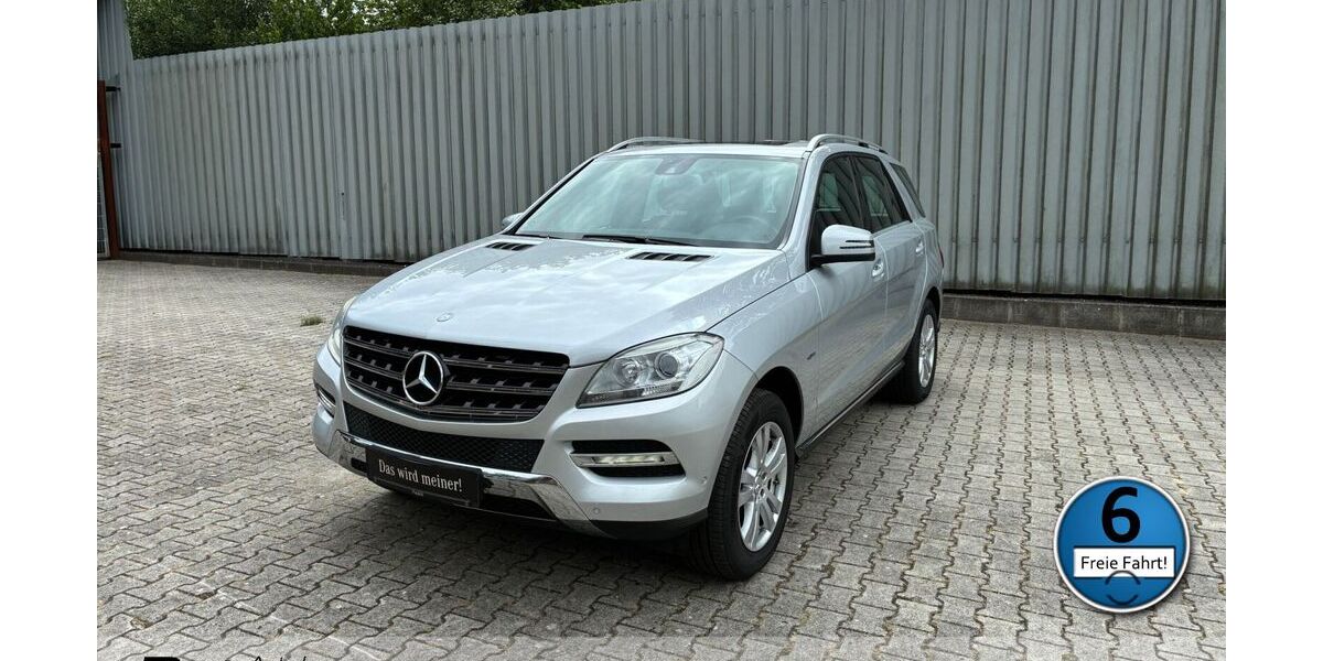 Mercedes-Benz ML 250 301.000 km 11.880 &euro; Itterbeck 49847
