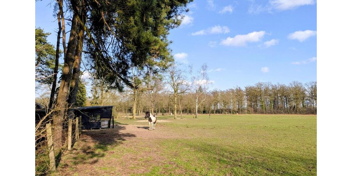 Bauernhaus, Landhaus Gronau (Westfahlen) - 5 Zimmer, 161 m&sup2;, 1.495.000&euro; | Angebot:25353059