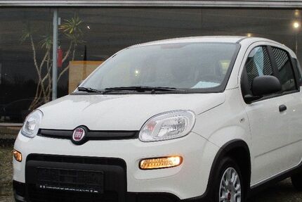 Fiat Panda 9.900 km 13.990 &euro; Lingen - Baccum 49811