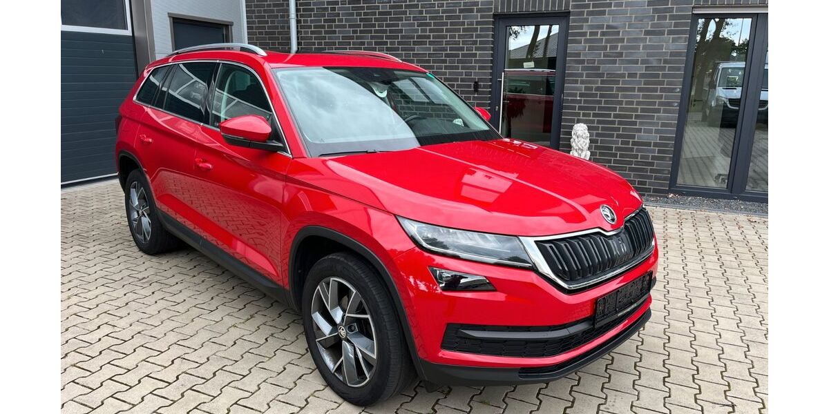 Skoda Kodiaq 195.200 km 17.255 &euro; Neuenhaus 49828