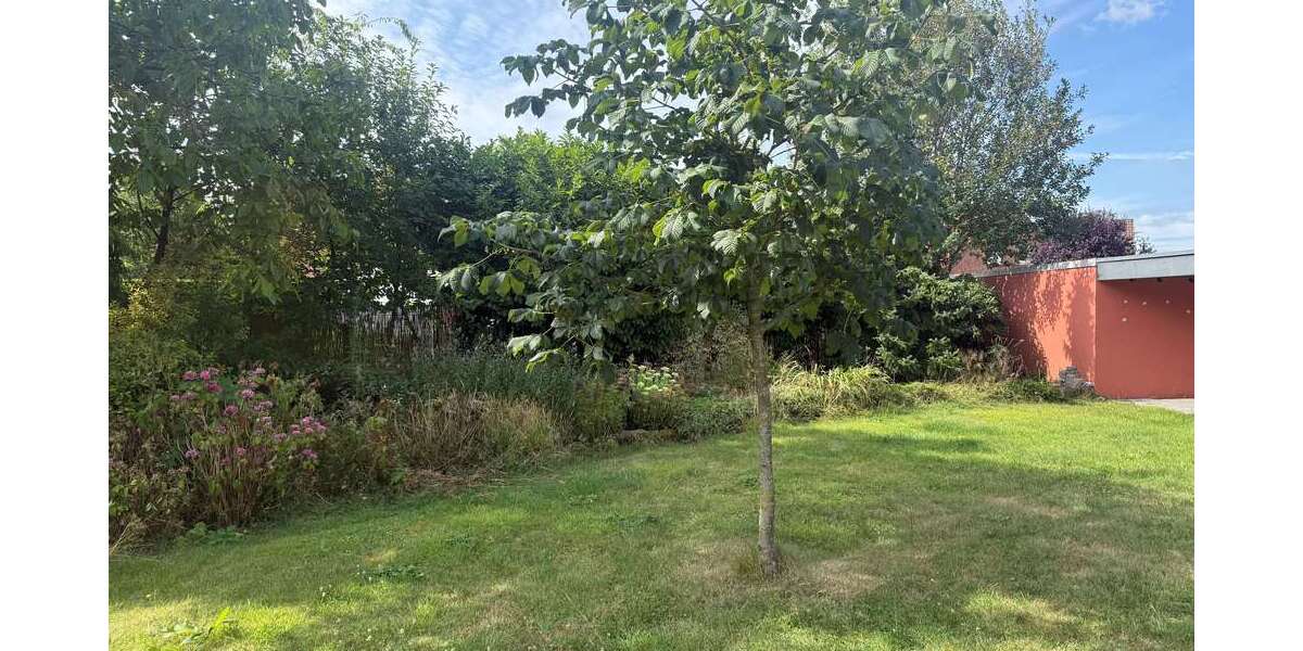 Grundstück Bad Bentheim - 82.425&euro; | Angebot:27178619