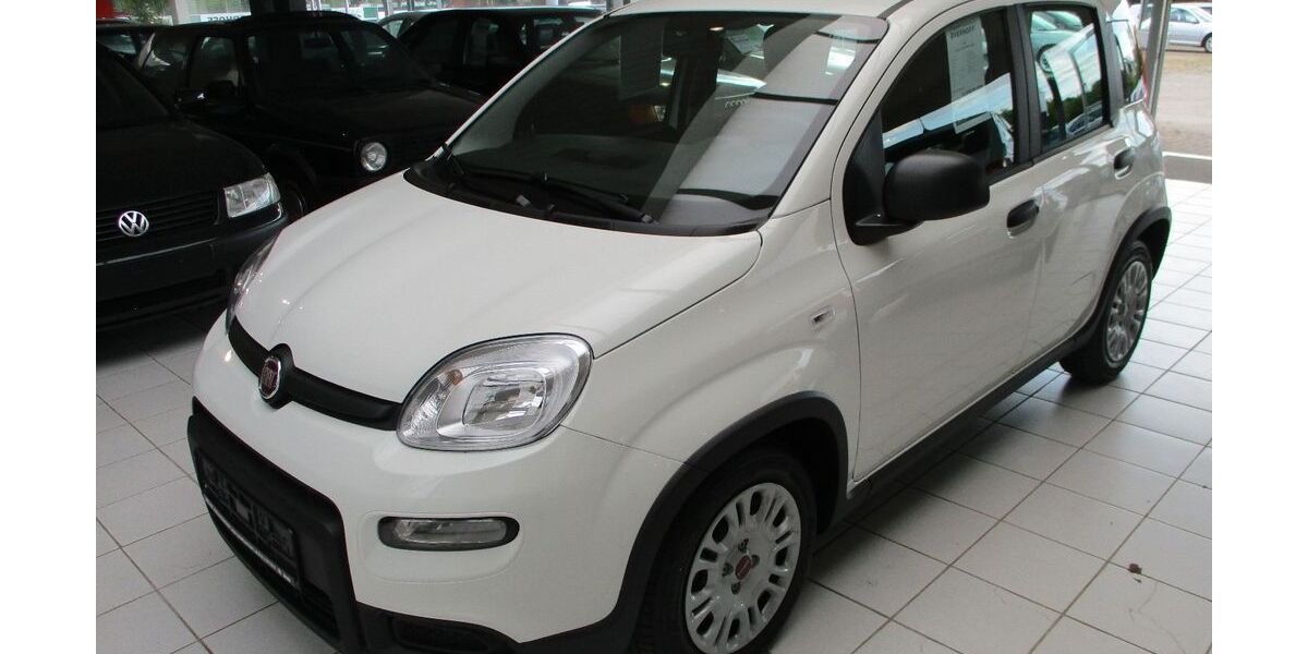 Fiat Panda 5.000 km 13.950 &euro; Lingen - Baccum 49811